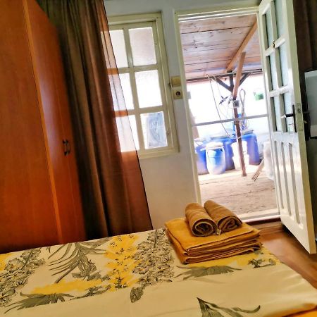 Отель Casa Ioana Костинешти Экстерьер фото