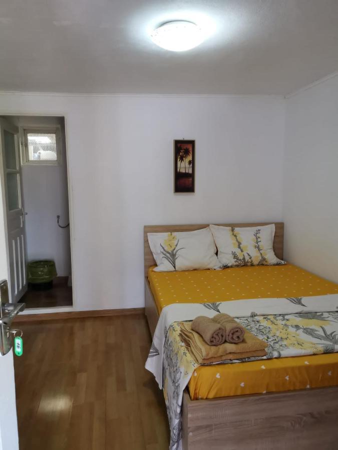 Отель Casa Ioana Костинешти Экстерьер фото