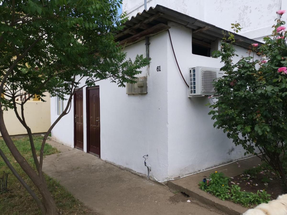 Отель Casa Ioana Костинешти Экстерьер фото